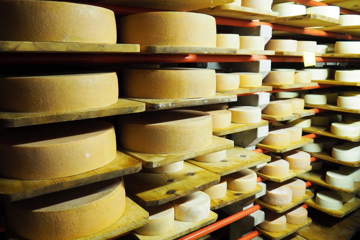 An Inside Look into Alpine Cheese Making, Moléson-Sur-Gruyères,  Switzerland — And Then I Met Yoko